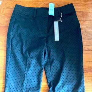 Loft Black On Black polka dot Petite 00 Pants